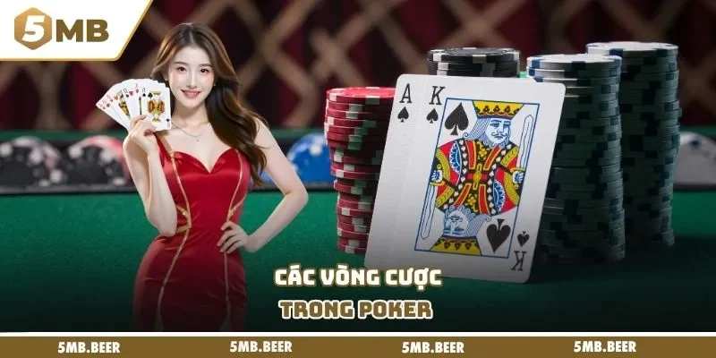 Các vòng cược trong Poker 