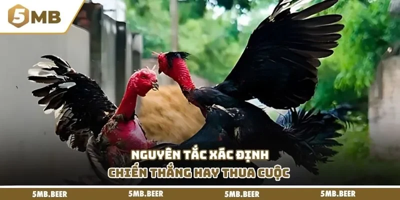 Nguyên tắc xác định chiến thắng hay thua cuộc 